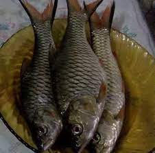 Ikan bandeng isi tanpa tulang makanan enak dan sehat untuk keluarga!! Kiat Praktis Menghancurkan Tulang Ikan Dalam Hitungan Detik Kompasiana Com