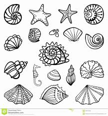 Sea Shell Coloring Book New Seashells Drawing At Getdrawings Coloring Pages Coloring Books Free Coloring Pages