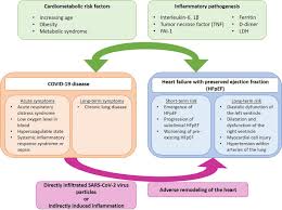 Myocarditis is an inflammation of the heart muscle (myocardium). Heart Failure Outcomes And Covid 19 Sciencedirect