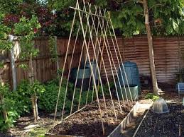 Pole beans, on the other hand, need a pole or some other support to stay upright. How To Grow Climbing Peas Beans Bean Garden Vertical Vegetable Garden Growing Green Beans