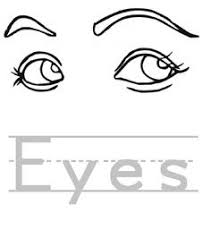 See more ideas about coloring pages, coloring books, colouring pages. Anatomy Of The Eye Coloring Anatomy Drawing Diagram