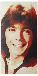 Cassidy Bath Towels for Sale