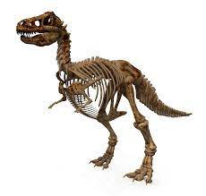 Dinosaur Png Image Dinosaur Png Png Images
