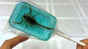 Gross Candy Scorpion Lollipop Review Sir Sebastian Youtube