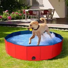 Piscine Pliable Xxl Pour Chien Baignoire 120 X 30 Cm