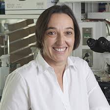 Angelika Amon • iBiology