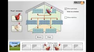 Chicken genetics gizmo answers student studies: Chicken Genetics Gizmo Answer Key Chicken Genetics Gizmo Assessment Answer Key Student Chicken Genetics Gizmo Answer Key Pdf Audrie Maurice