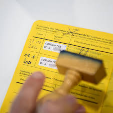 Die fachinformation für comirnaty® wurde mit einer neuen haltbarkeitsdauer für die unverdünnte durchstechflasche des impfstoffs aktualisiert. Gefalschte Impfpasse Im Umlauf Gutes Geschaft Fur Kriminelle Stern De