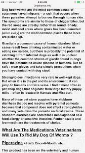 Pin On Critter Care