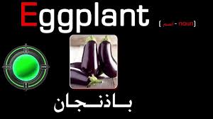 جميل.لكن هناك طريق افضل مع هذه الكلمات او اي كلمات اخرى ، هي لو توضع في جمل لان الكلمة تحتمل اكثر من معنى اكثر مما تتصور. English To Arabic Part 8 Ø®Ù€Ù€Ø¶Ù€Ù€Ø±Ø§ÙˆØ§Øª Youtube