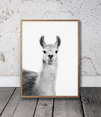 Llama Print Llama Wall Art Printable Photo Digital Etsy Llama Print Wall Art South American Art