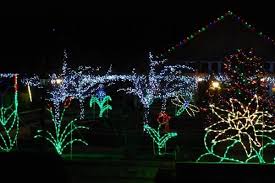 Holiday Lights In Bloom Holiday Lights Lights Garden Theme