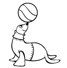 Click the navy seals soldier coloring pages to view printable version or color it online (compatible with ipad and android tablets). Kindergarten Kids Learn About Seal Coloring Page Coloring Sky
