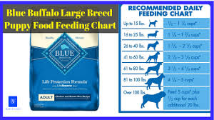 Blue Buffalo Large Breed Puppy Food Feeding Chart 1 In 2020 Puppy Food Large Breed Puppy Food Puppy Food Brands