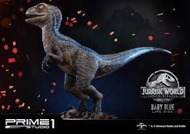 Jurassic world blue raptor coloring pages in 2020 | dinosaur coloring pages, dinosaur coloring, coloring pages Baby Blue Jurassic World Falle Statue Prime 1 Studio