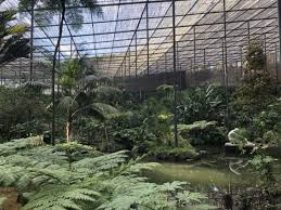 Lokaler namejardim botânico de lisboa lagelissabon besuchen sie einen der schönsten botanischen gärten europas, der sich über 4 hektar erstreckt. Auszeit In Portugal Ihr Fragt Ich Antworte