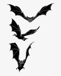 Free shipping on all orders over $35. Halloween Bat Png Images Free Transparent Halloween Bat Download Kindpng