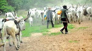 11:54am on jun 06 this tout can never do half of what nnamdi kanu has done. Sunday Igboho Many Feared Killed As Herdsmen Reportedly Launch Reprisal Attack In Ogun Daily Post Nigeria