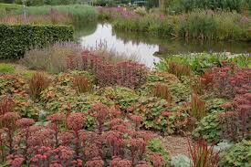 Show Gardens Appeltern The Netherlands Tuin Inspiratie Tuinarchitectuur Tuin