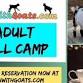 Adult Fall Day Camp Session #3 - FunWithGoats, 2515 Tulls Creek Rd Event Image