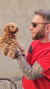 შოთა ფილიშვილი