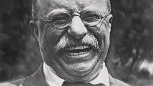 Image result for theodore roosevelt