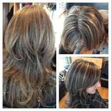 Gray Highlights In Brown Hair Light Brown Hair With Highlights This Is What I Don T Want Hi Light Ash Brown Hair Brown Hair With Highlights Light Brown Hair