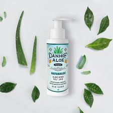 Image result for Aloe barendii