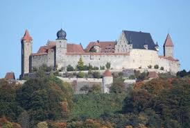 Image result for Volkiella disticha