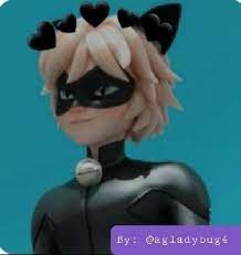Chat Noir In 2021 Miraculous Ladybug Memes Miraculous Pfp Miraculous Ladybug