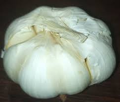5 however, garlic plants do repel them. Nuur Light On Twitter Not Only Is Garlic A Vegetable It S Also A Medication Of Its Own It Cures Malaria In The Shortest Period A Healthier Society Is Our Aim Dm Kattopaulo