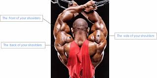 I was already happy with it. How To Build Big Broad Shoulder Muscles That Stand Out