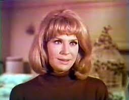 The Outsider (1968–1969) Starring Darren McGavin