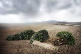 Rechauffement Climatique La Terre Sera Bientot Inhabitable Pour L Homme