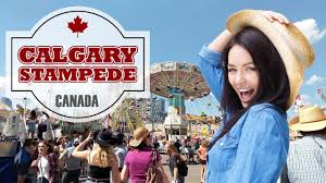 Horse put down after breaking leg in chuckwagon races at calgary stampede. Calgary Stampede 2021 Travel Guide Youtube