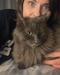 Thank you to everyone who helped find my missing cat