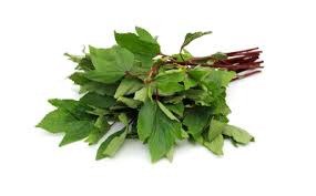 Lihat juga resep ayam kecap rempah enak lainnya. Gongura Leaves Daun Asam Vishal Grocer Online Grocery Ordering
