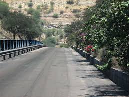 Image result for Dolichos junodii