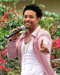 shaggy discography wikipedia