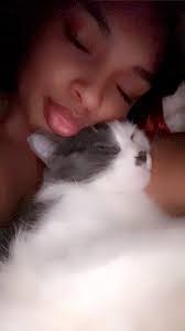 How to find a lost cat in Idaho Falls?