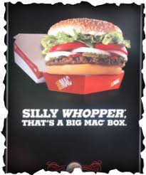 Advertisement Analysis