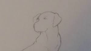 How To Draw A Dog Step By Step (Full Body) - Youtube