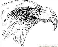 Click the bald eagle head coloring pages to view printable version or color it online (compatible with ipad and android tablets). Eagle Head Lg Coloring Page For Kids Free Eagle Printable Coloring Pages Online For Kids Coloringpages101 Com Coloring Pages For Kids