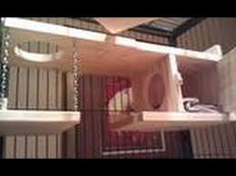 chinchilla cage