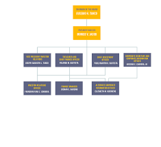 Sti Education Systems Holdings Organizational Chart