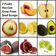 Fruits That Grow From Seed Scraps Must Try Www Draxe Com Healthy Gardens Fruits Growing Seeds Organic Gardening Tips Fruit Garden