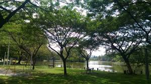 Plaza azalea seksyen 14 shah alam for sale. Taman Tasik Shah Alam Section 14 Review Of Taman Tasik Shah Alam Malaysia Tripadvisor