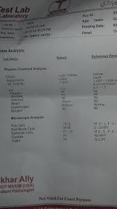 General Urine Examination