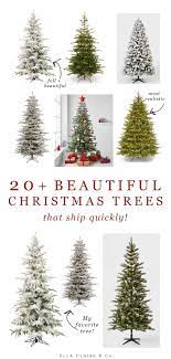 20 Beautiful Christmas Trees That Ship Quickly Beautiful Christmas Trees Christmas Tree Buy Christmas Tree