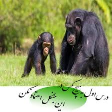 Feb 20, 2006 · trust is important, but it is also dangerous. Ø¯Ø±Ø³ Ø§ÙˆÙ„ Ø¯Ø± Ø§ÛŒÙ† Ø¬Ù†Ú¯Ù„ Ø¨Ù‡ Ù‡ÛŒÚ† Ú©Ø³ Ø§Ø¹ØªÙ…Ø§Ø¯ Ù†Ú©Ù† Ù¾ÛŒÚ© Ø´Ø§Ø¯ÛŒ